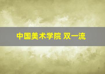 中国美术学院 双一流